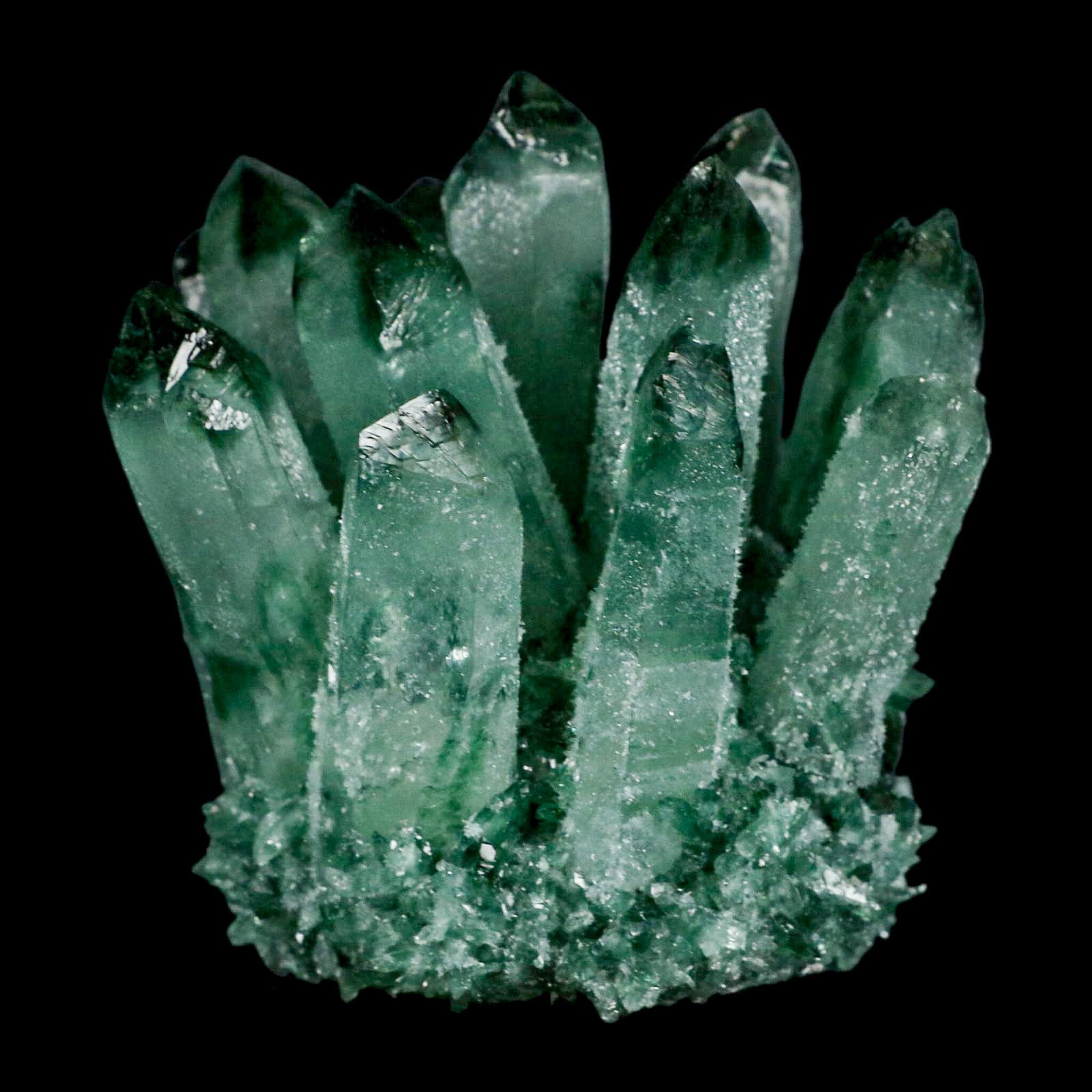 3.9