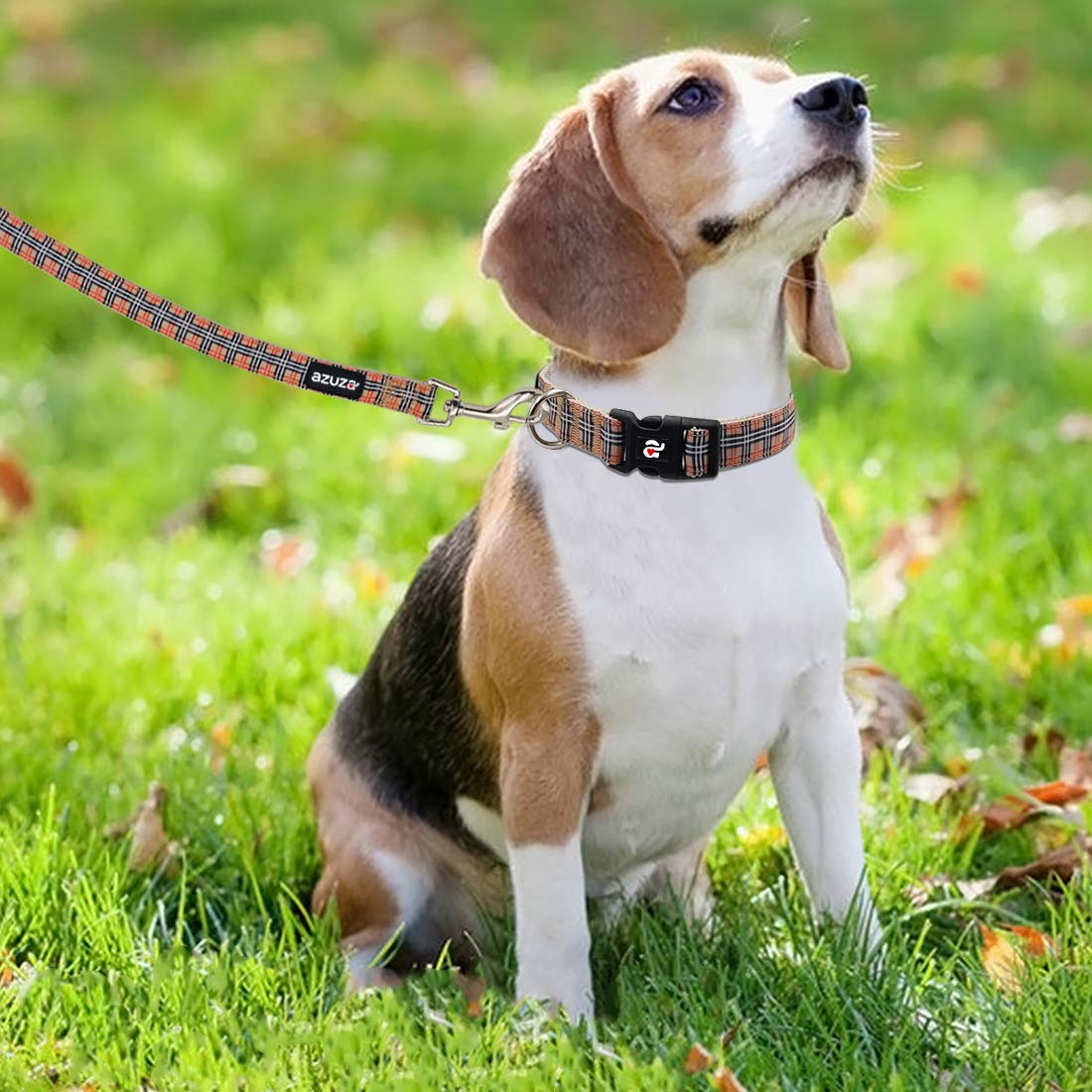 Azusa Classic Plaid Dog Collar and Leash Set for Small Dogs - Matching Collar & Leash Combo for Christmas, New Year, Festivals & Daily Walks - Perfect for Training, Gifting & Outdoor Adventures