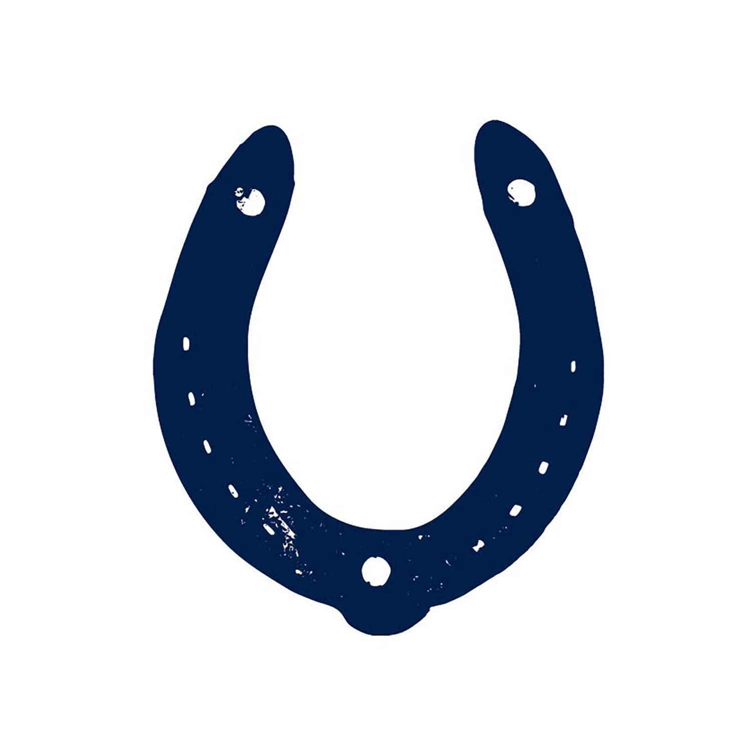 Long-Lasting 1-2 Weeks Semi-Permanent Temporary Tattoo for Adults - Realistic Navy Blue Horseshoe Design for Saint Patrick's Day - Perfect for Chest, Neck & Arm - 4 Sheets - Great for Parties, Festivals & Holiday Celebrations
