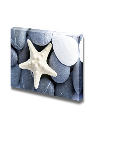 Seashell