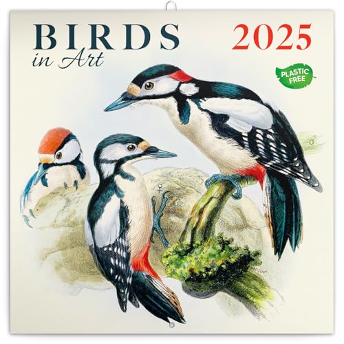 Birds 2025