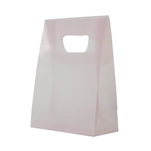 JAM PAPER Frosted Lunch Bags 3x4x1.5 Inches - Bulk Pack of 100 Pink Disposable Food Bags for School, Office & Picnic Lunches