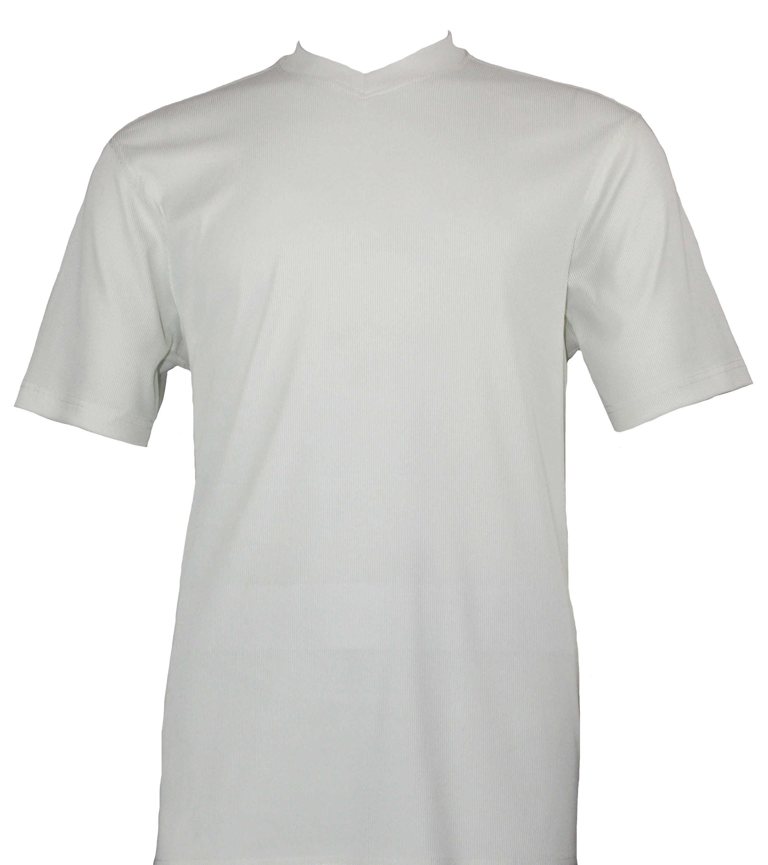 Bassiri Short Sleeve V-Neck Ivory T-Shirt for Women - Soft Cotton Casual Tee for Everyday Wear, Summer Outfits, and Layering