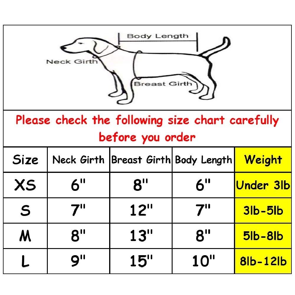 GINBLA Cute Dog Hoodie - Small Pet Sweatshirt with Big Sister Print, Warm Puppy Winter Costume for Small Dogs | Perfect for Cold Weather Walks & Indoor Cozy Time