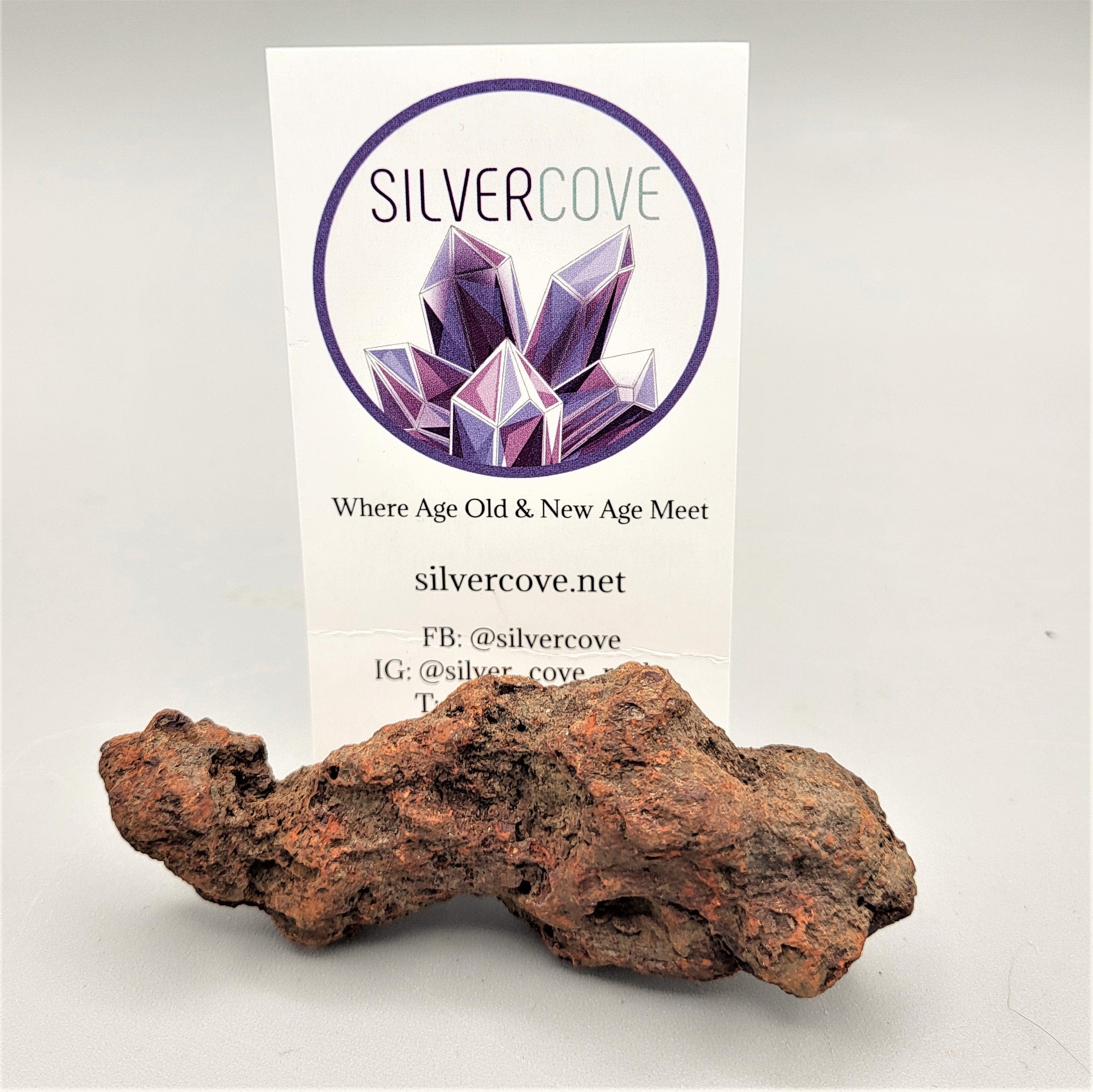Authentic Coprolite Fossil Specimen - Dinosaur Poop Fossil for Collectors, Education & Home Decor - Perfect for Science Enthusiasts & Paleontology Gifts