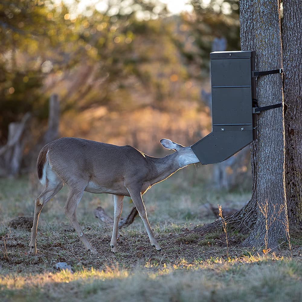 ASF All Seasons Feeders EZ Deer Tree Protein Feeder - Automatic Deer Feeder for Protein, Corn, Rice Bran & Attractants - Perfect for Hunting, Wildlife Observation & Deer Nutrition Management