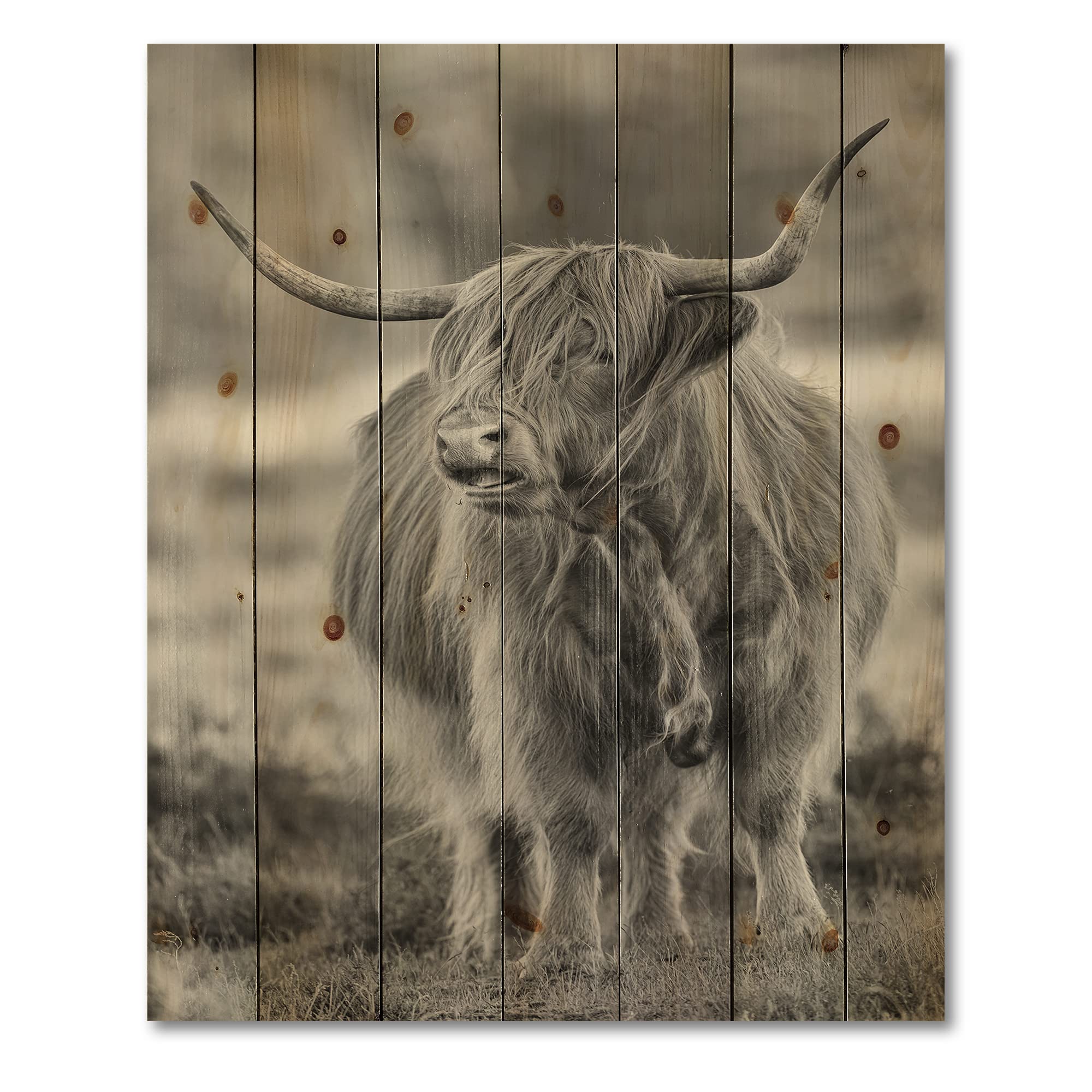 DesignQ Bull Farmhouse Wood Wall Decor - Grey Wood Wall Art with Large Animal Print on Natural Pine Wood - Perfect for Rustic Home, Cabin, or Western-Themed Room Decor