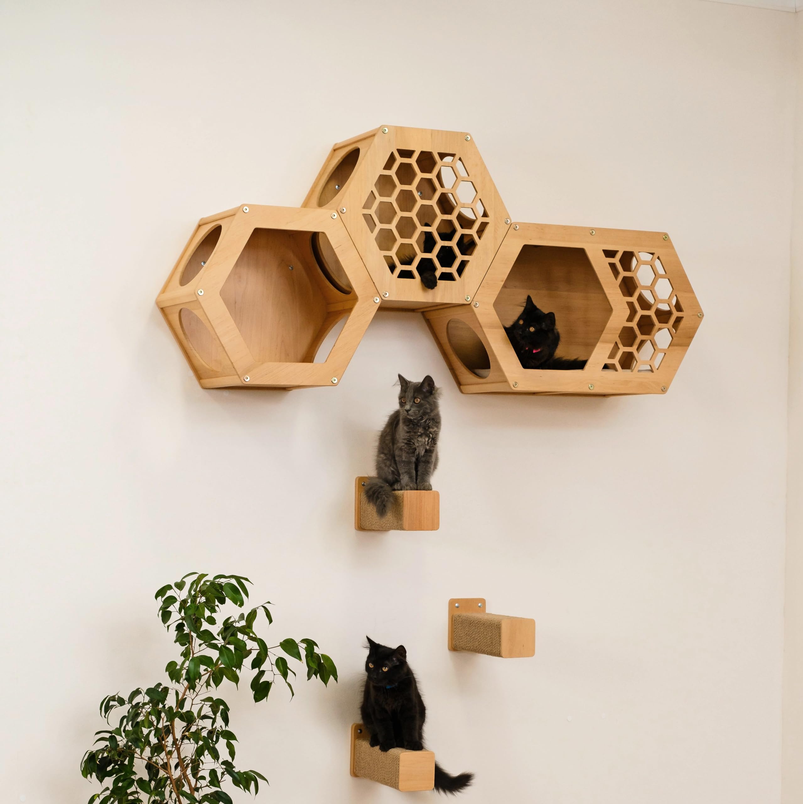 Hexagon Cat Wall Shelf - Modern Cat Furniture with Large Cat Bed & Play Tower - Perfect for Indoor Cat Climbing, Lounging & Playtime