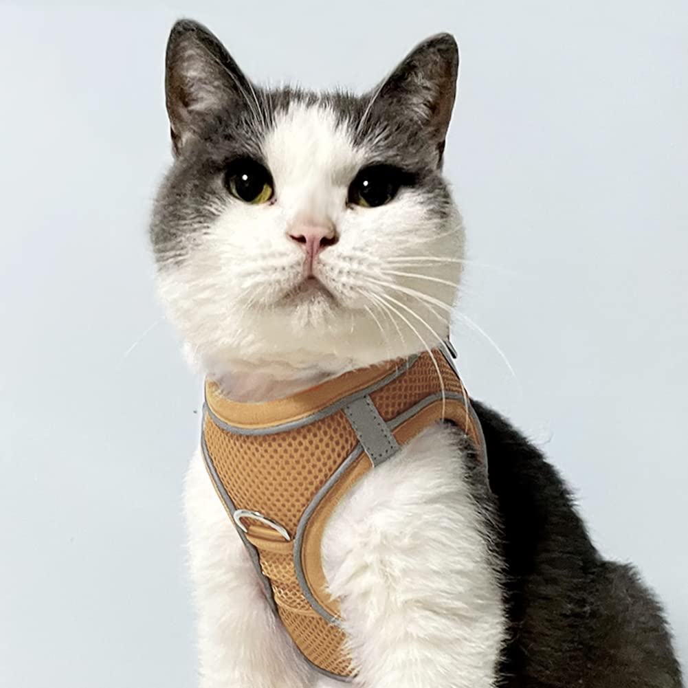 Joytale Small Dog Harness - Breathable Mesh Step-in Vest with Reflective Padding for Cats, Puppies & XS Dogs (Brown, XXS) | Perfect for Walking, Training & Outdoor Adventures