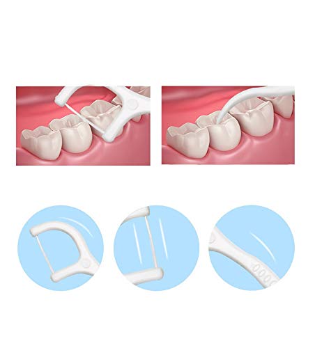 100 Picks Professional Dental Floss Picks - Soft Macro-Molecule Cleaning Toothpicks for Teeth Care & Plaque Removal | Perfect for Travel, Office & Home Oral Hygiene