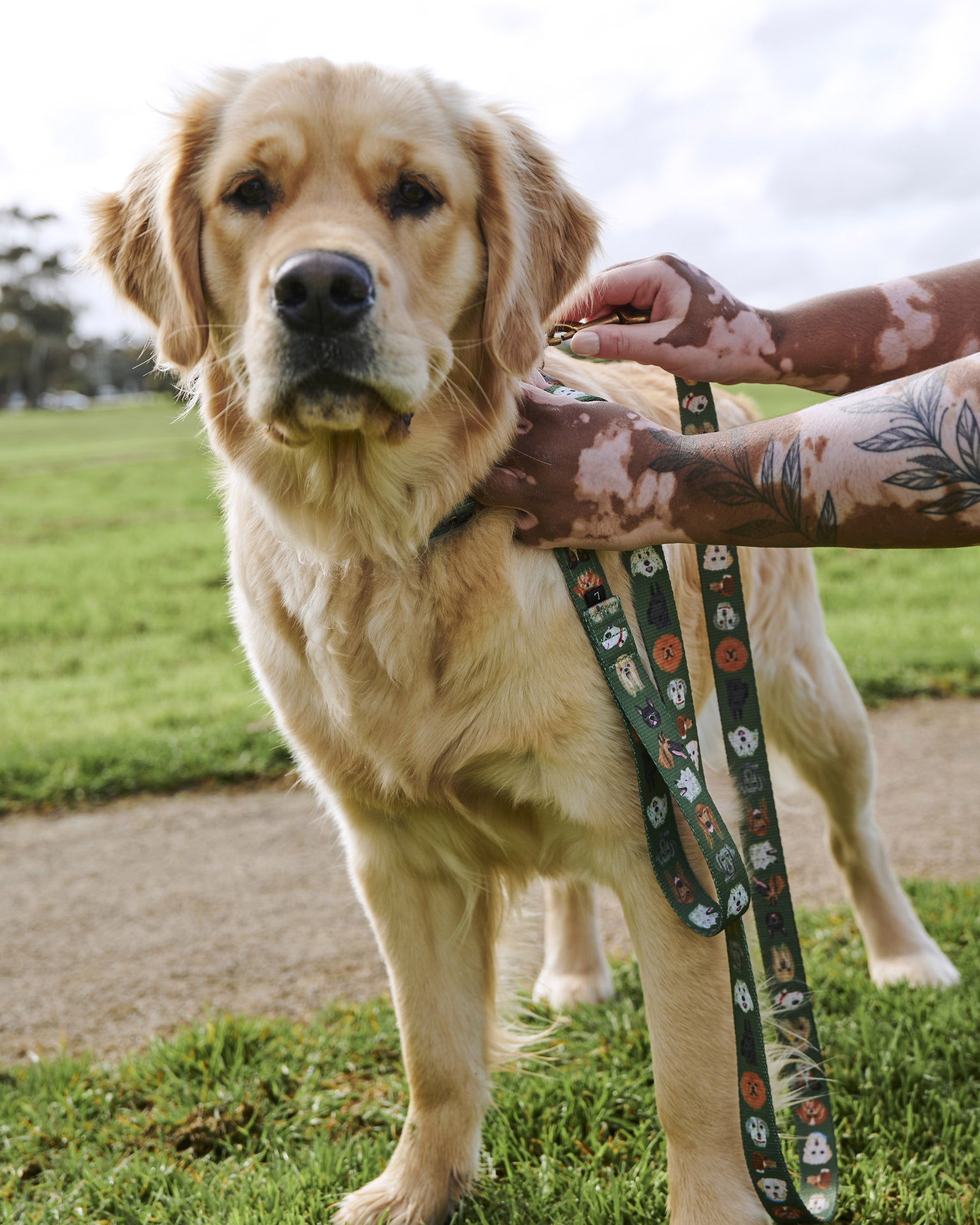 Best Retractable Dog Leash for Dog Parks - Durable & Tangle-Free for Large & Small Dogs - Perfect for Outdoor Walks, Hiking & Training