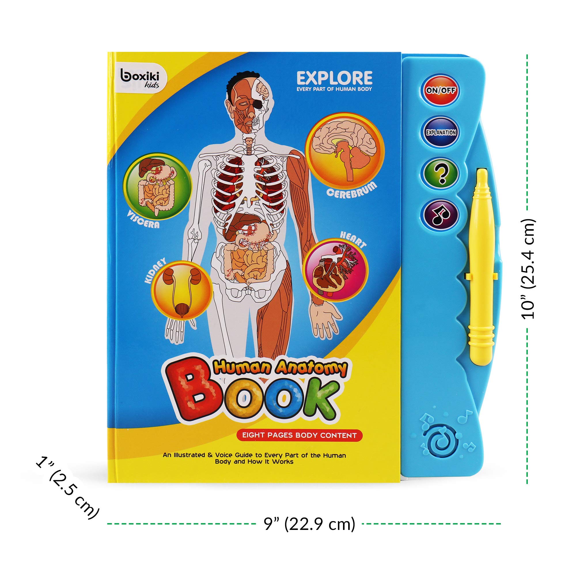 Boxiki Kids Human Body Book - Educational Science Activity Book for Ages 3+ | Perfect for Homeschool Learning & Preschool STEM Toys