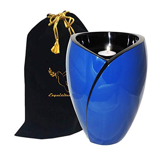 Blue & Black