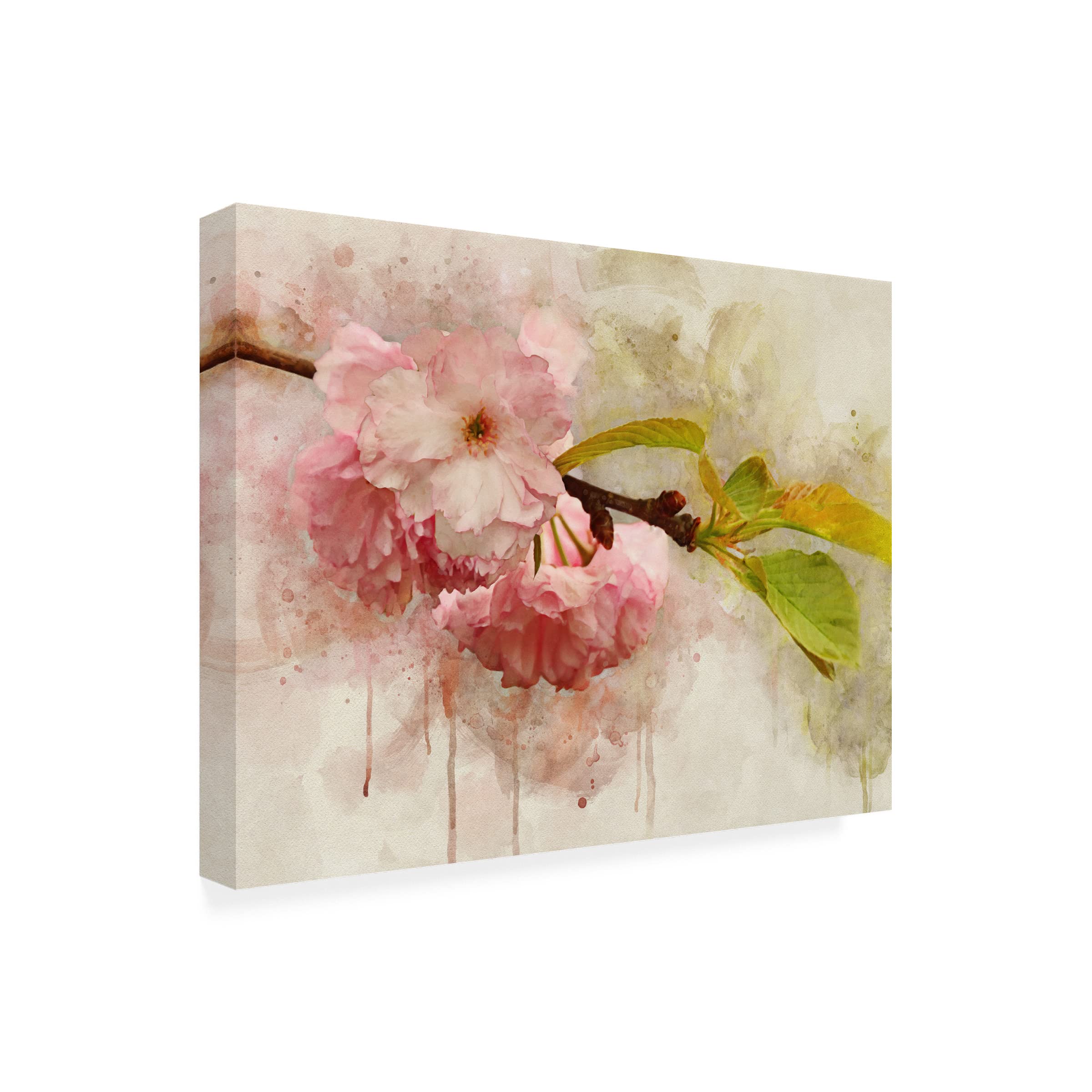Leda Robertson 'Blossom Elegance I' Floral Canvas Wall Art - Handmade Oil Painting Reproduction for Living Room, Bedroom & Office Decor