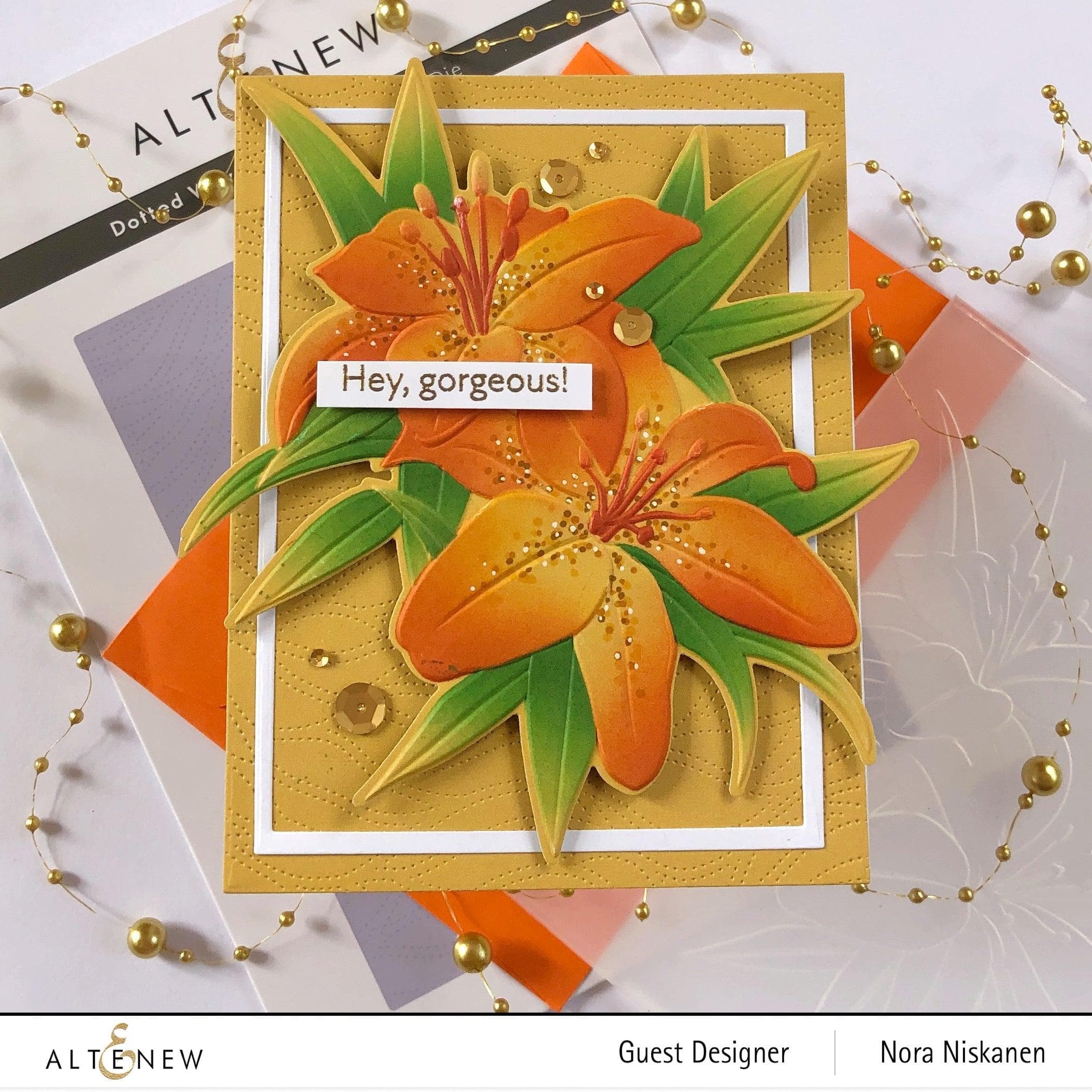 Dreamy Daylilies - Beautiful Perennial Flowers for Garden Landscaping | Perfect for Borders, Containers & Cut Flower Arrangements