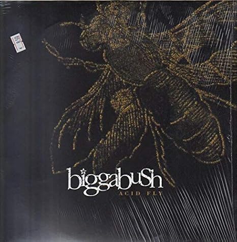 Biggabush Acid Fly 12 Vintage Skateboard Deck - Authentic Secondhand Skateboard for Collectors & Riders - Perfect for Street Skating & Wall Decor