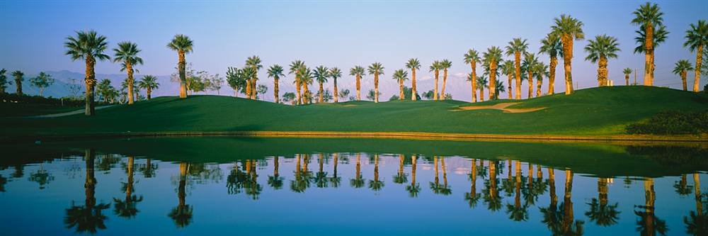 Peel & Stick Wall Murals - Golf Course Marriott Palms AZ Design (84