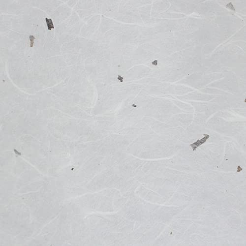 White with Bark pieces