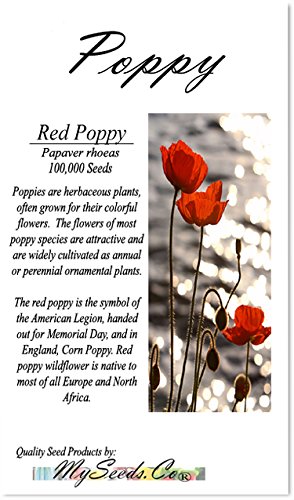 Big Pack Red Poppy Flower Seeds - Papaver Rhoeas Heavy Bloomer for Vibrant Gardens | MySeeds.Co | Perfect for Landscaping, Borders & Wildflower Meadows