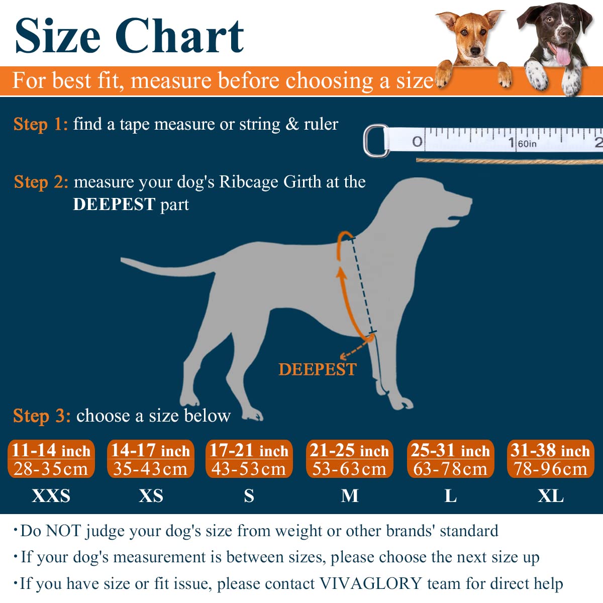 VIVAGLORY Ripstop Dog Life Jacket - Small/Medium/Large Sizes - High Visibility & Buoyancy Swimming Vest for Boating, Paddleboarding & Water Safety - Bright Pink Pet Safety Gear for Dogs