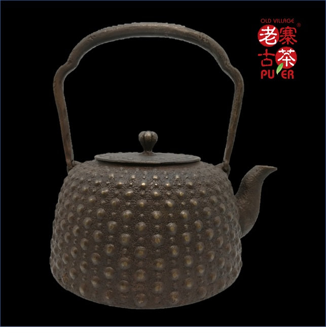 Authentic Japanese Nanbu Satetsu Tetsubin Cast Iron Teapot - Traditional Southern Iron Kettle with Tortoiseshell Pattern for Matcha, Tea Ceremony & Home Decor