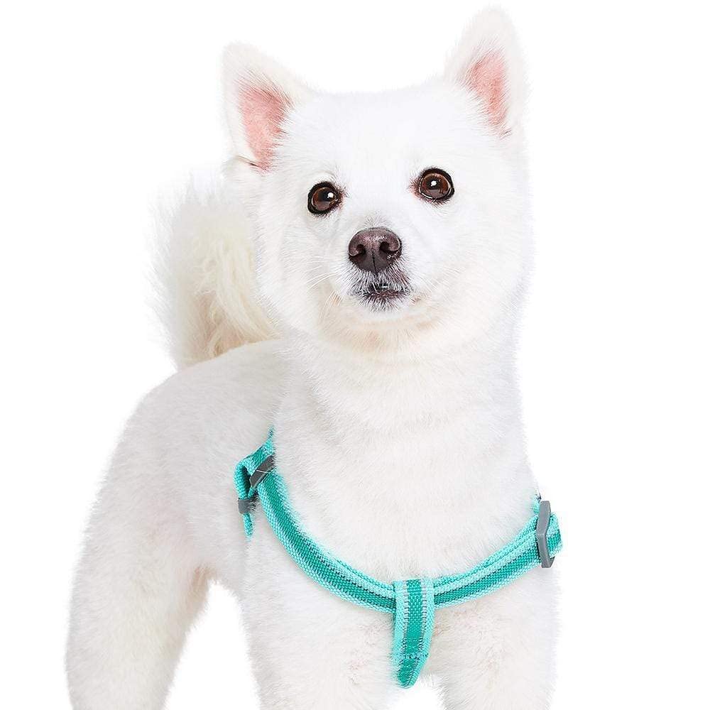 Blueberry Pet Essentials Step-in Reflective Dog Harness - Adjustable Mint Green Vest for Medium Dogs (20-26
