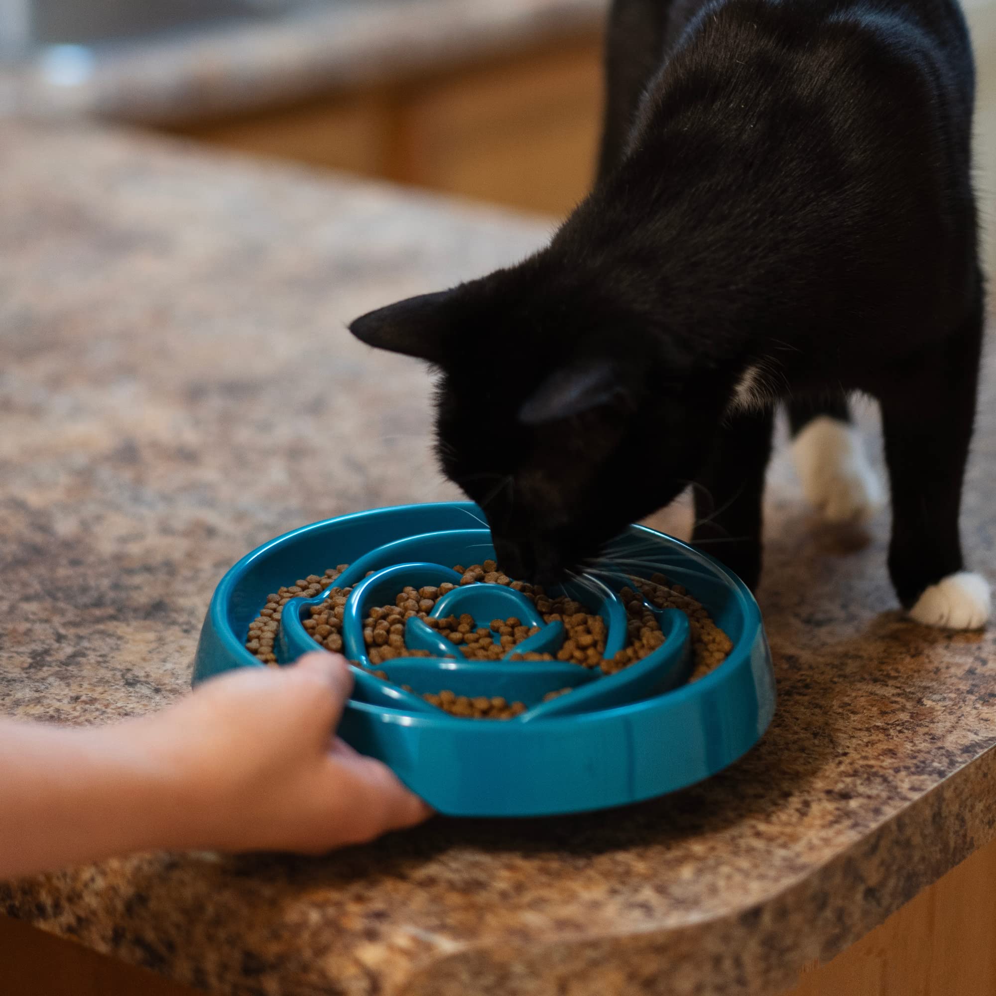 Messy Mutts Interactive Slow Feeder Dog Bowl – Puzzle Feeder for Dogs & Cats to Slow Eating, Prevent Bloating – 8” x 1.3” – 1.75 Cup Capacity – Blue – Perfect for Mealtime Enrichment & Digestive Health