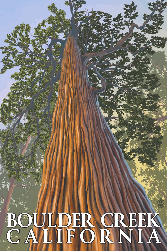 Boulder Creek CA Redwood Forest Landscape Art Print - 24x36 Signed Wall Decor Poster for Living Room, Office & Home Decor