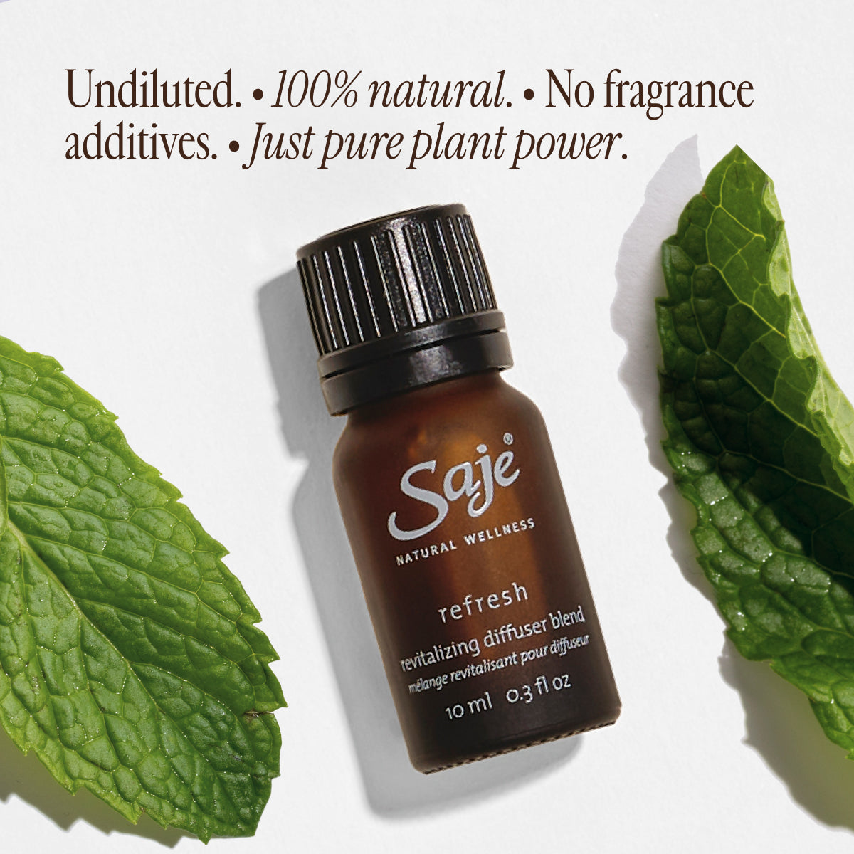 Refresh Revitalizing Essential Oil Diffuser Blend - Uplifting Aromatherapy for Home, Office & Spa - Boost Mood & Energy Naturally