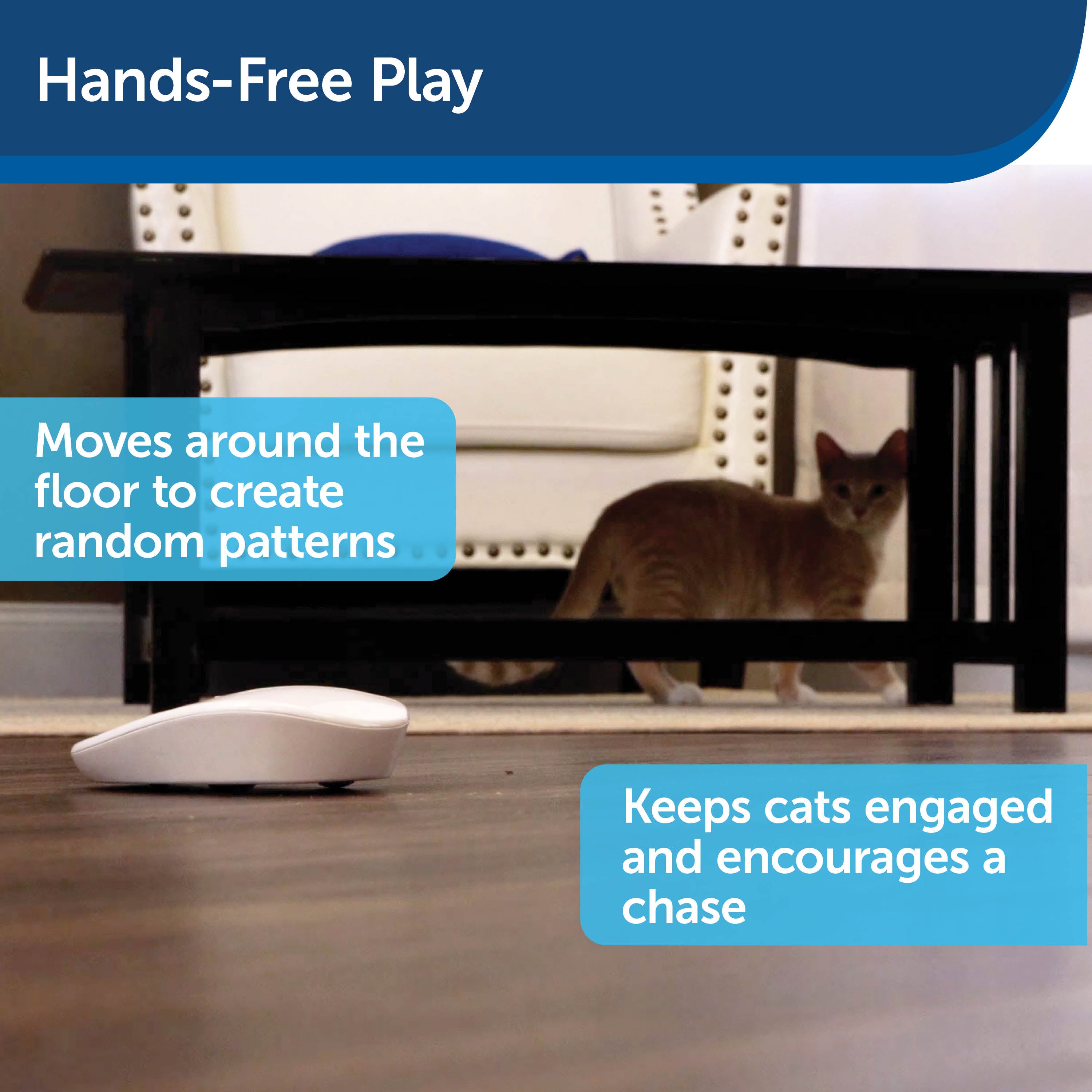 Automatic Laser Cat Toy with Random Movements - Interactive Pet Toy for Cats by PetSafe® | Fun Exercise & Playtime for Indoor Cats