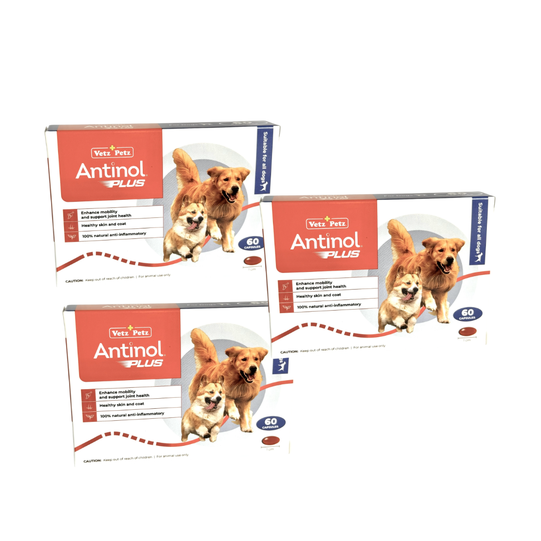 Antinol Plus Joint Supplement for Dogs - 60 Capsules (3 Pack Bundle) | Supports Mobility & Hip Health for Active & Senior Dogs | Ideal for Daily Use & Post-Exercise Recovery