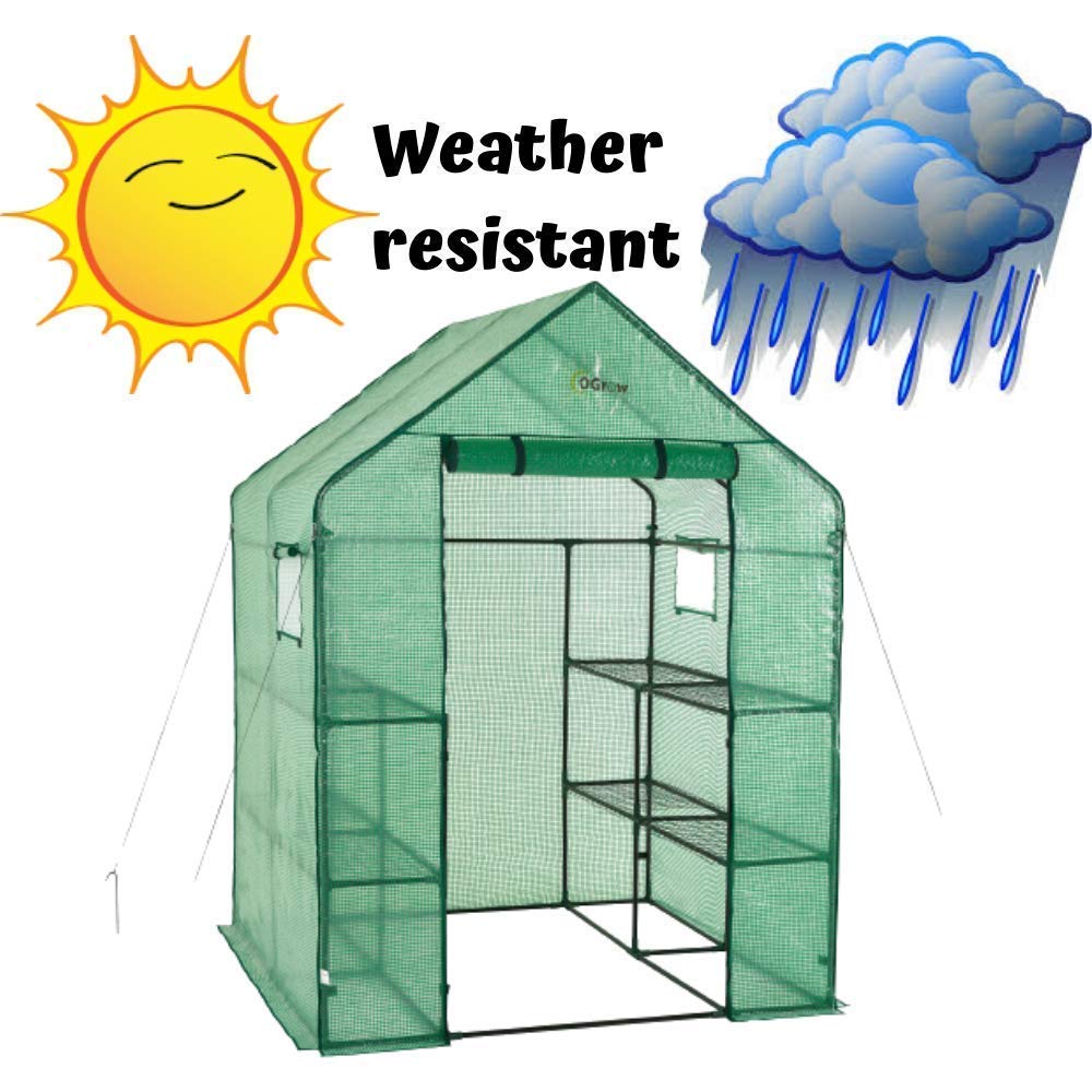 Ogrow PE Greenhouse Cloche Replacement Cover - Durable Plant Protection for Seedlings & Small Plants - Perfect for Garden, Balcony & Indoor Plant Care