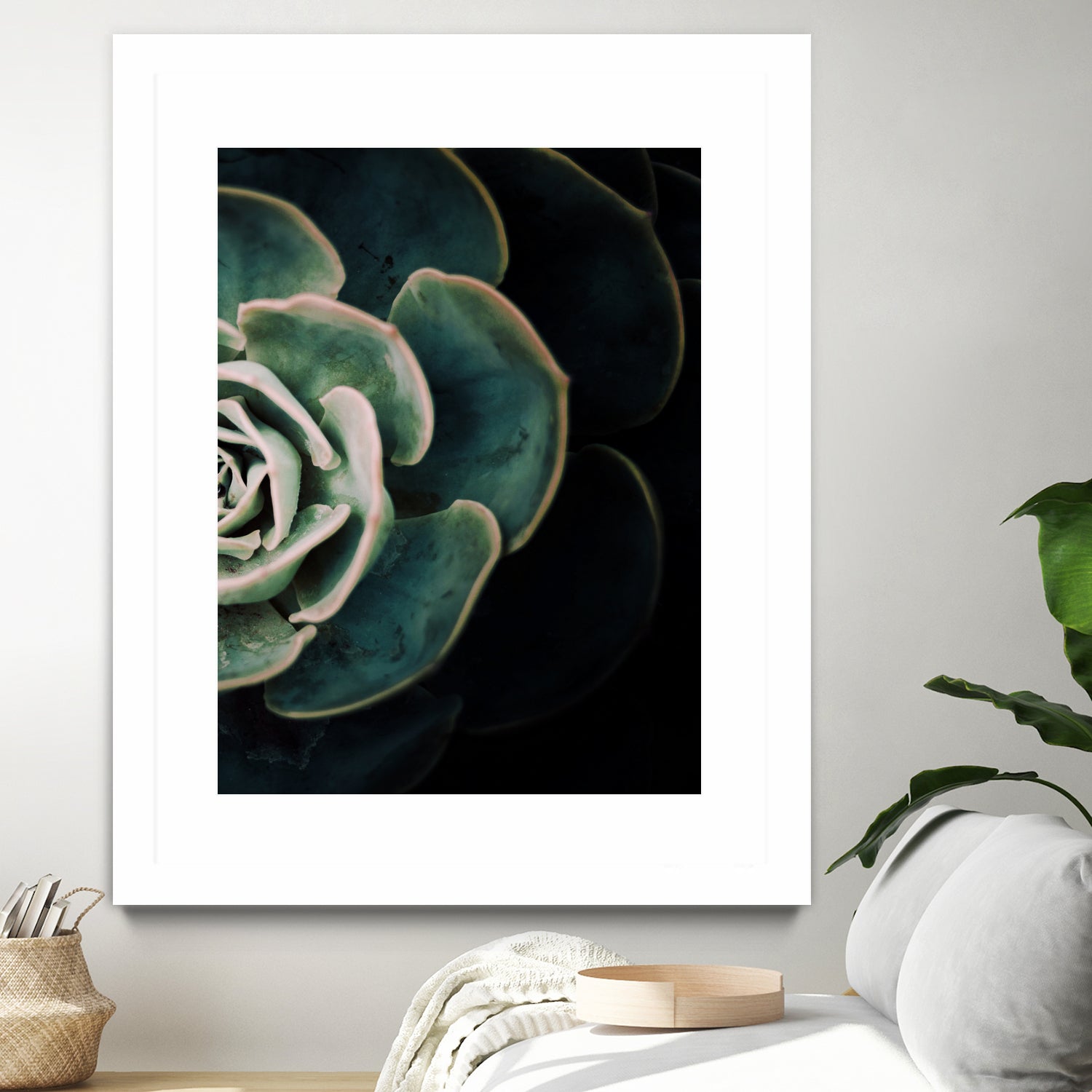 Dark Side of Succulents IV 2 - Unique Artificial Succulent Plants for Home & Office Decor | Perfect for Indoor Plant Displays, Wedding Centerpieces, and Gothic-Themed Decorations