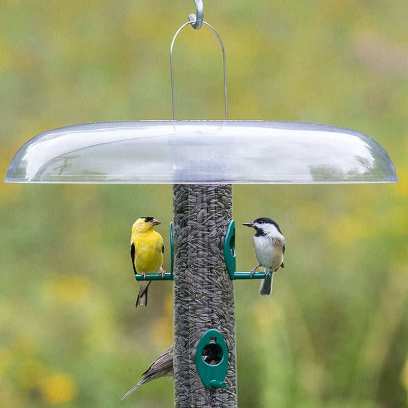 Duncraft Top Slot Squirrel Baffle - Premium Squirrel Proof Bird Feeder Guard for Outdoor Bird Feeders | Perfect for Backyard, Garden & Patio Wildlife Protection