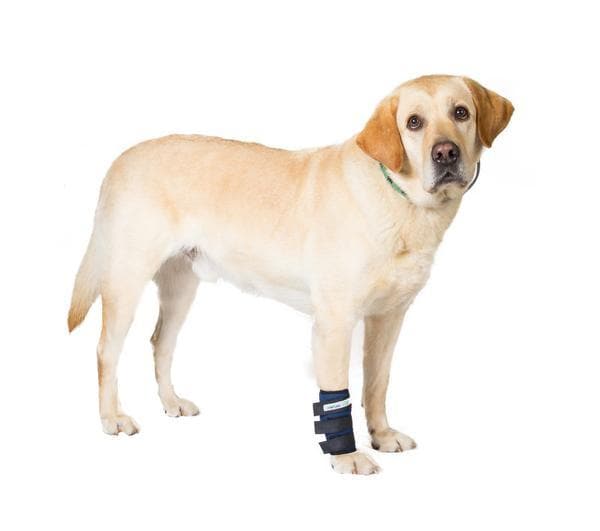 Dog Wrist Protector - Adjustable Support Brace for Small & Large Dogs - Ideal for Post-Surgery Recovery, Arthritis & Injury Prevention - Perfect for Active Dogs During Walks & Playtime