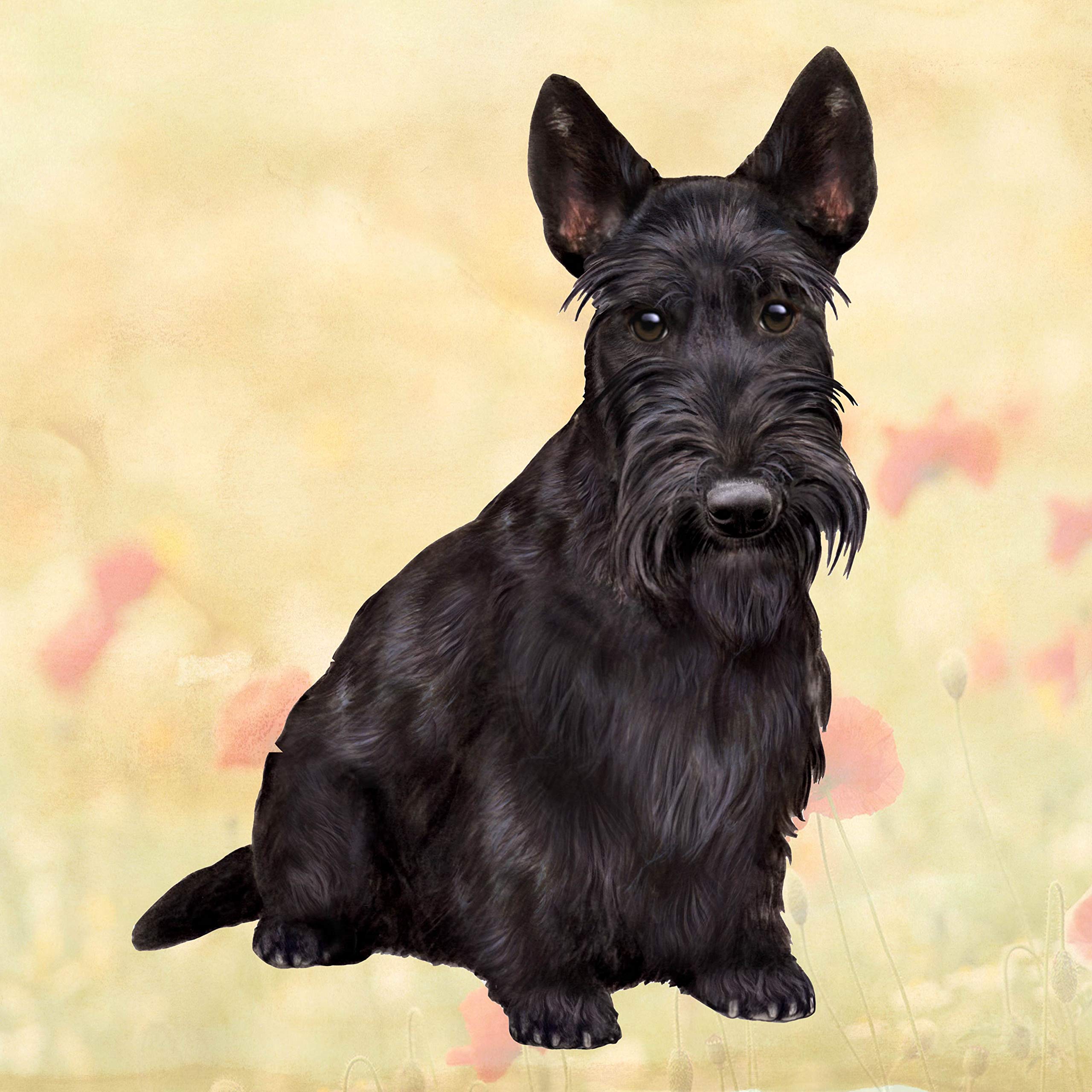 Scottish Terrier Absorbent Stone Coaster Set with Cork Back - Prevent Water Rings & Furniture Scratches - Perfect for Coffee Tables, Bars, and Home Decor Gifts