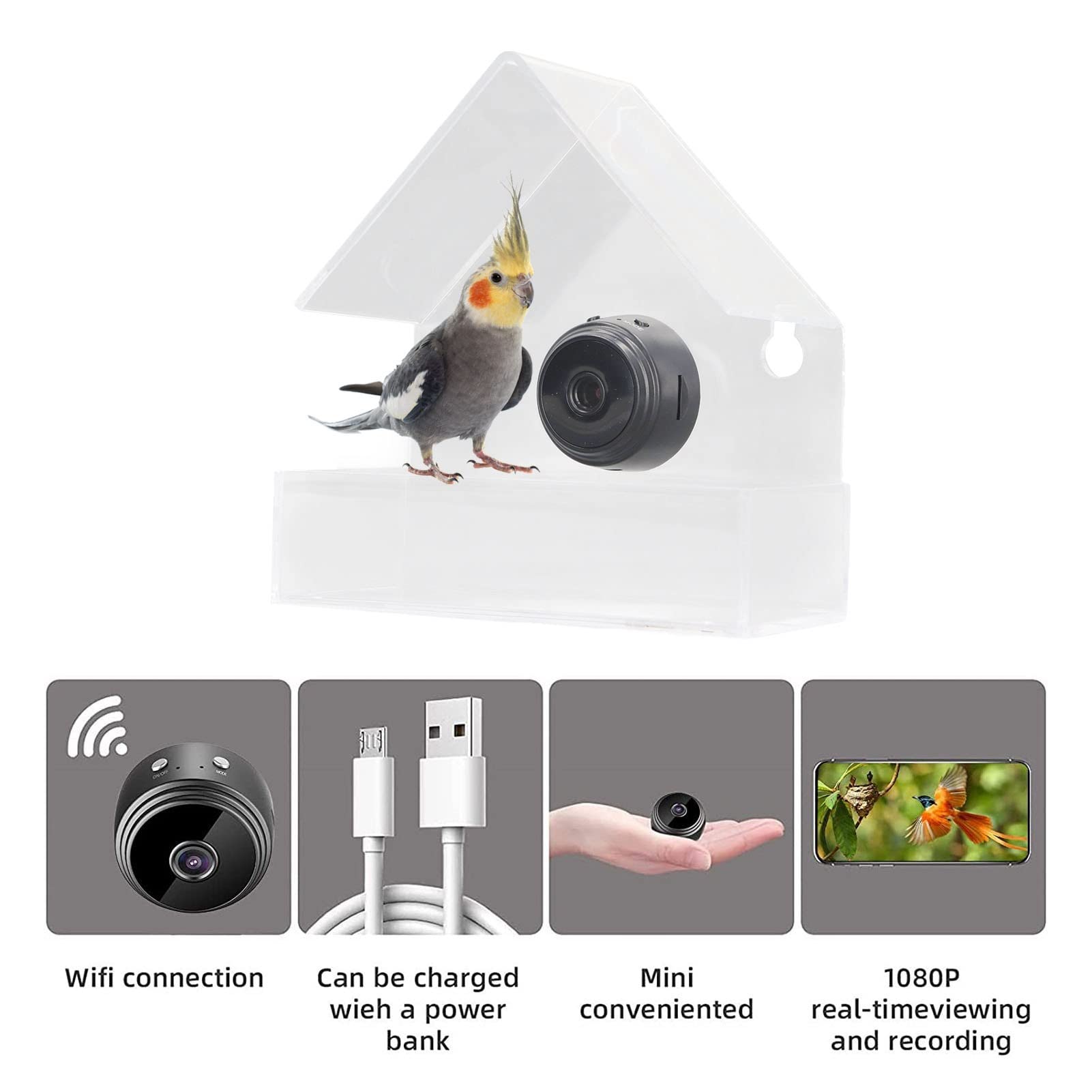 Smart Bird Feeder Camera with 720p HD Auto Capture, 170° Wide Angle & Night Vision - Wireless Outdoor Bird House Camera for Bird Watching - Perfect Gift for Nature Lovers & Backyard Wildlife Enthusiasts