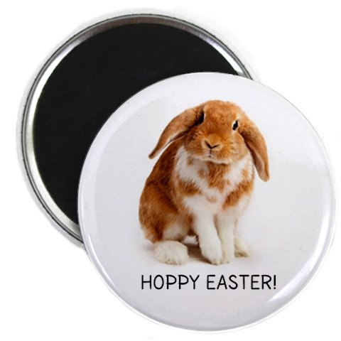 Easter Bunny Fridge Magnet - 2.25 Inch Cute Bunny Decor for Lockers, Fridges & Home - Perfect for Easter Decorations, Gifts & Party Supplies