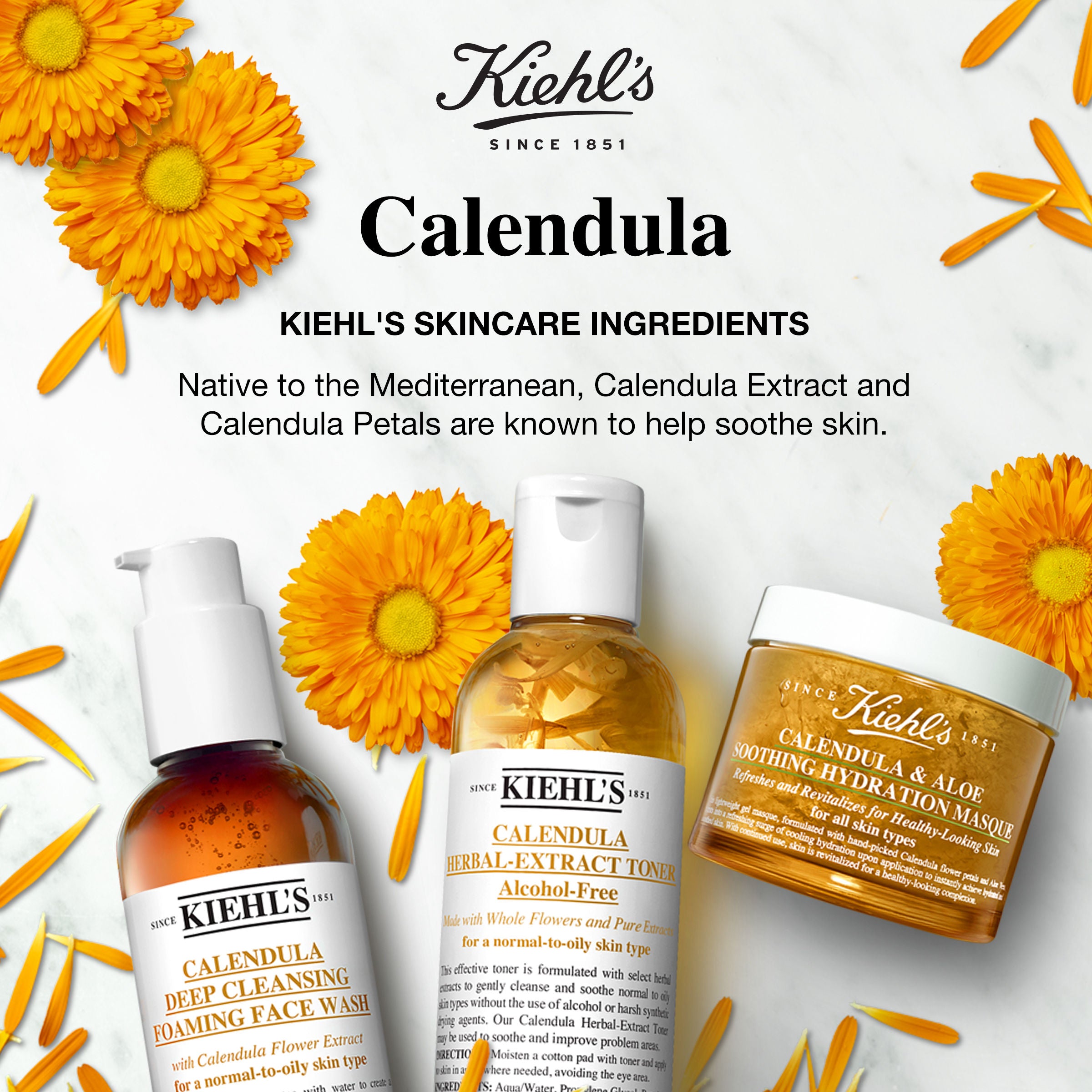 Calendula Herbal Extract Alcohol-Free Toner for Face - Soothing & Hydrating Skincare for Sensitive Skin | Perfect for Daily Use & Post-Sun Care