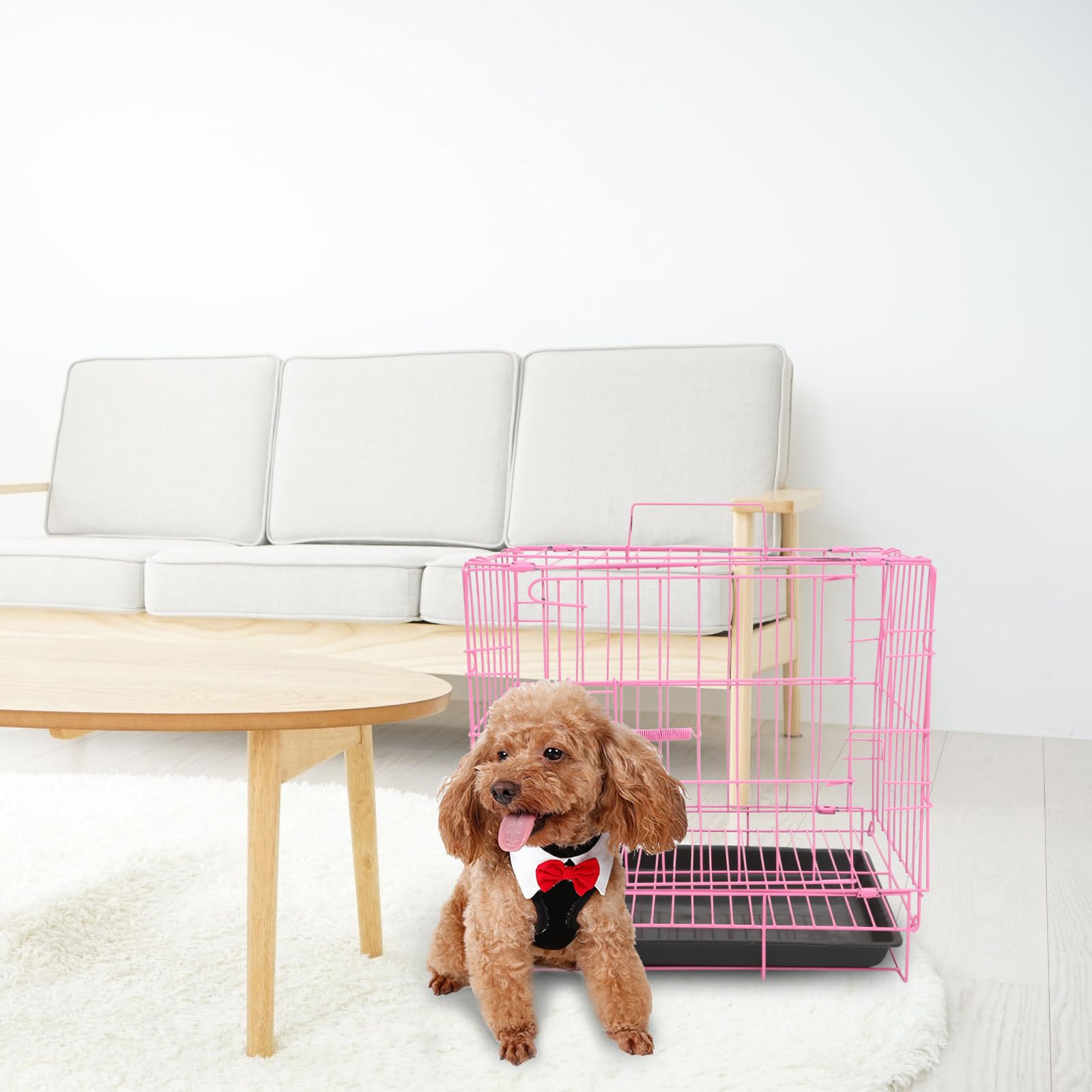 ULTECHNOVO Single Door Metal Dog Crate with Removable Tray - Portable Pet Cage for Medium Dogs, Poodles, Cats & Rabbits - Indoor & Outdoor Use for Home, Travel & Training