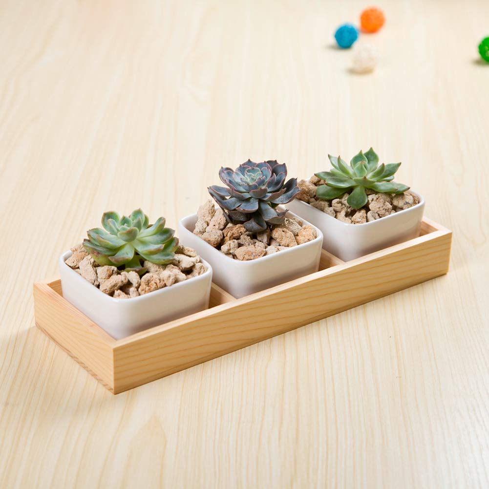 Walbest Succulent Plant Pot - Multi Grid Wooden Flower Planter Box with 3 Grids for Bonsai, Desktop Storage & Home Decor | Perfect for Office, Living Room & Indoor Plants