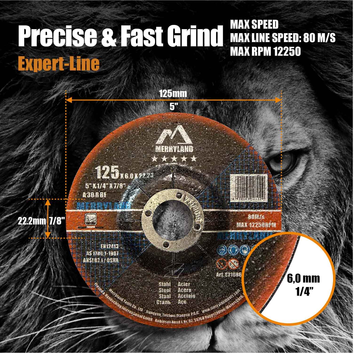 5 Inch Metal Grinding Wheel 10 Pack - 5 x 1/4 x 7/8 Angle Grinder Discs for Iron, Steel & INOX - Merryland Expert-Line E31086043 - Perfect for Metal Fabrication, Welding & DIY Projects
