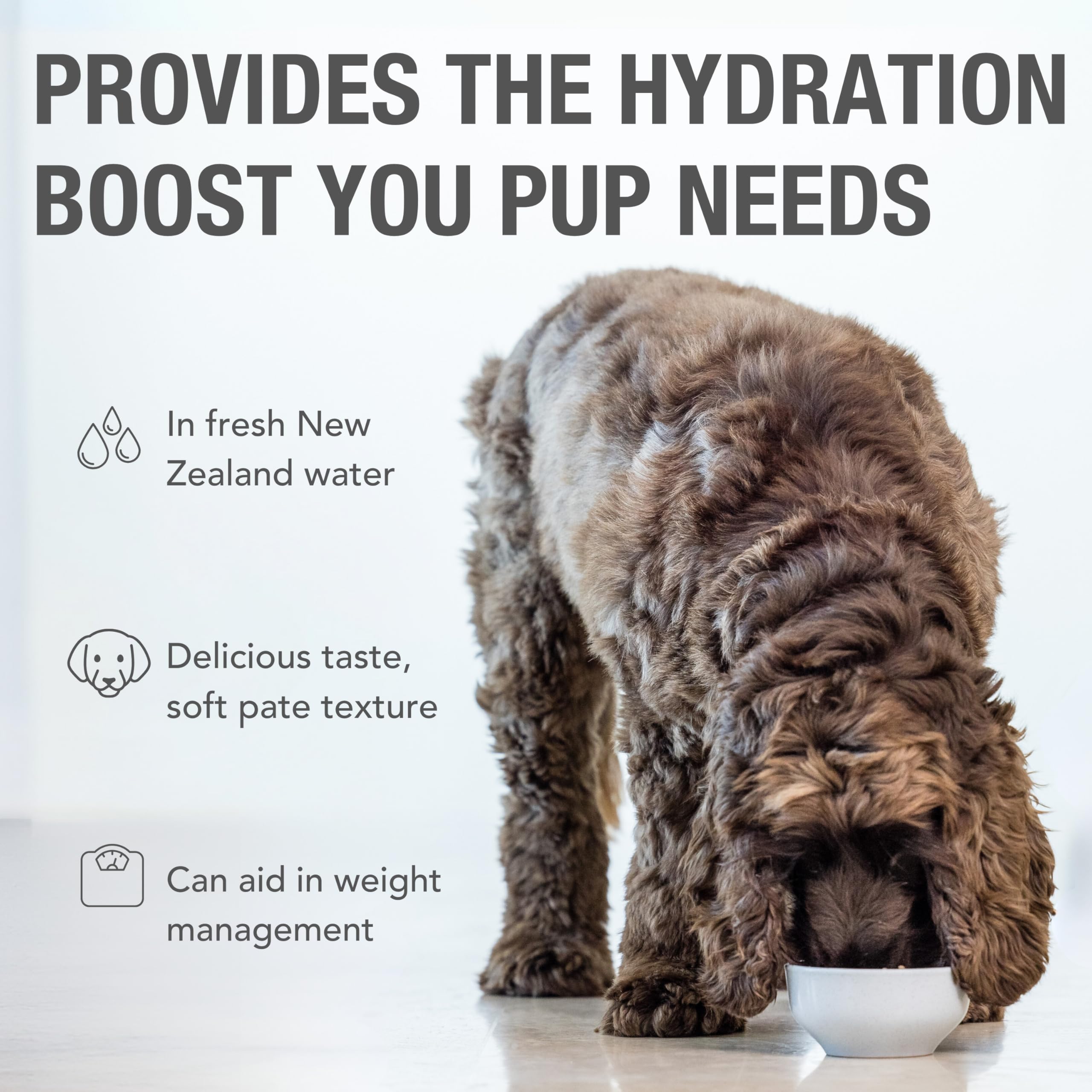 K9 Natural Grain-Free Wet Dog Food Pate - Beef Feast, 12 Pack of 6 Oz Cans | Limited Ingredient, Single-Source New Zealand Grass-Fed Beef Recipe | Perfect for Sensitive Stomachs & High-Energy Dogs