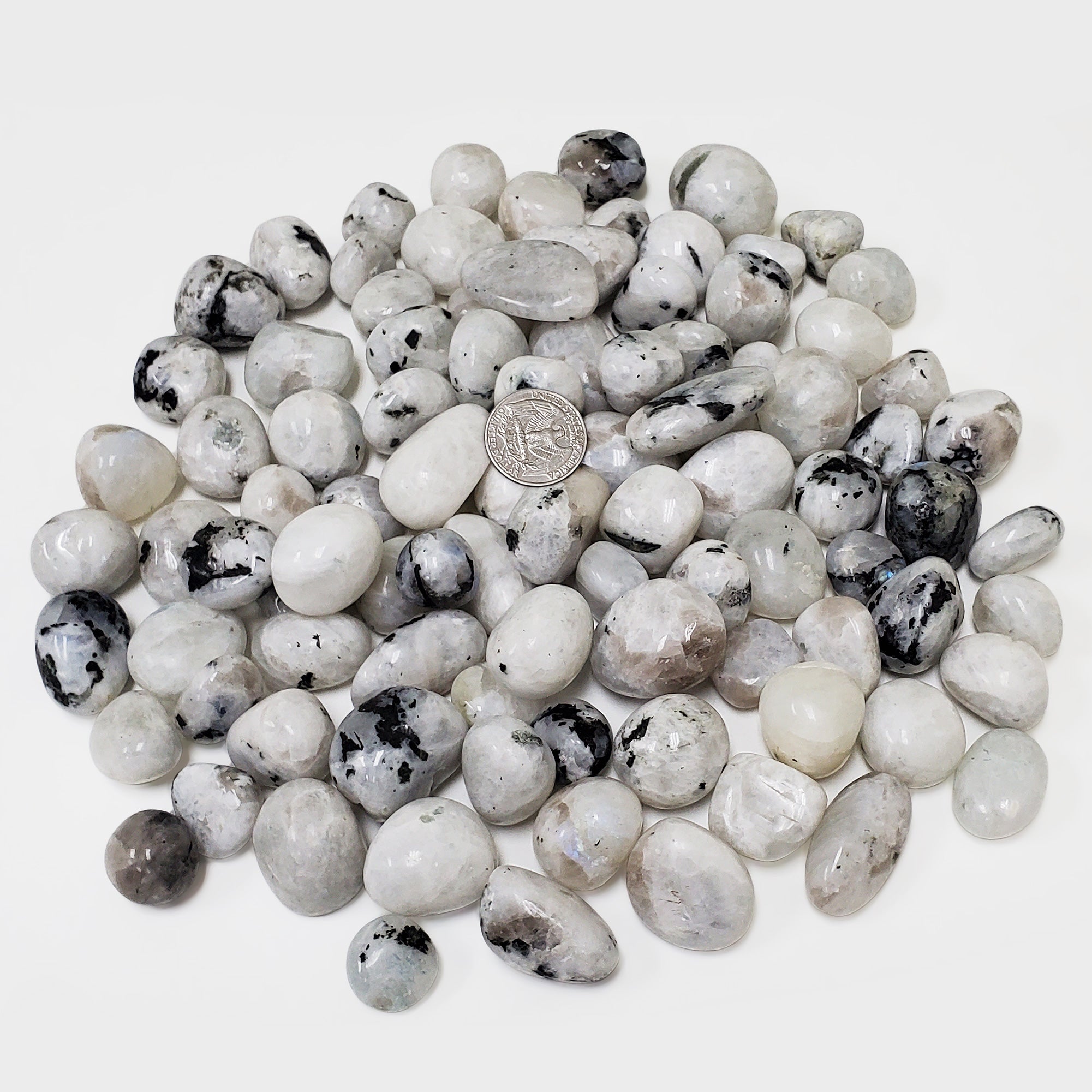 1 lb Natural Polished Rainbow Moonstone Tumbled Stones - Bulk Healing Crystals for Meditation, Reiki, Jewelry Making & Home Decor