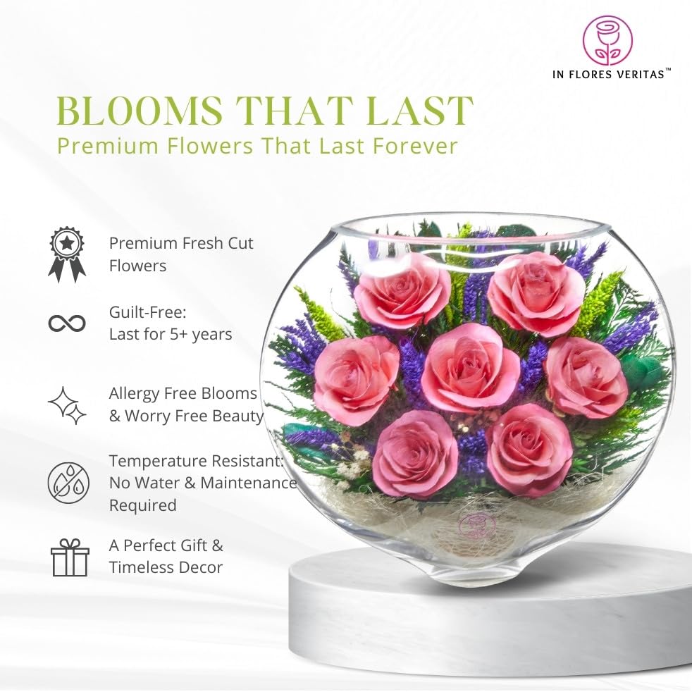 Long-Lasting Preserved Roses in Glass Vase - Fresh Cut Flowers That Stay Beautiful for 5+ Years | Waterless, Allergy-Free Bouquet | Perfect Romantic Gift for Anniversary, Valentine's Day & Home Decor (Serenade Pink)