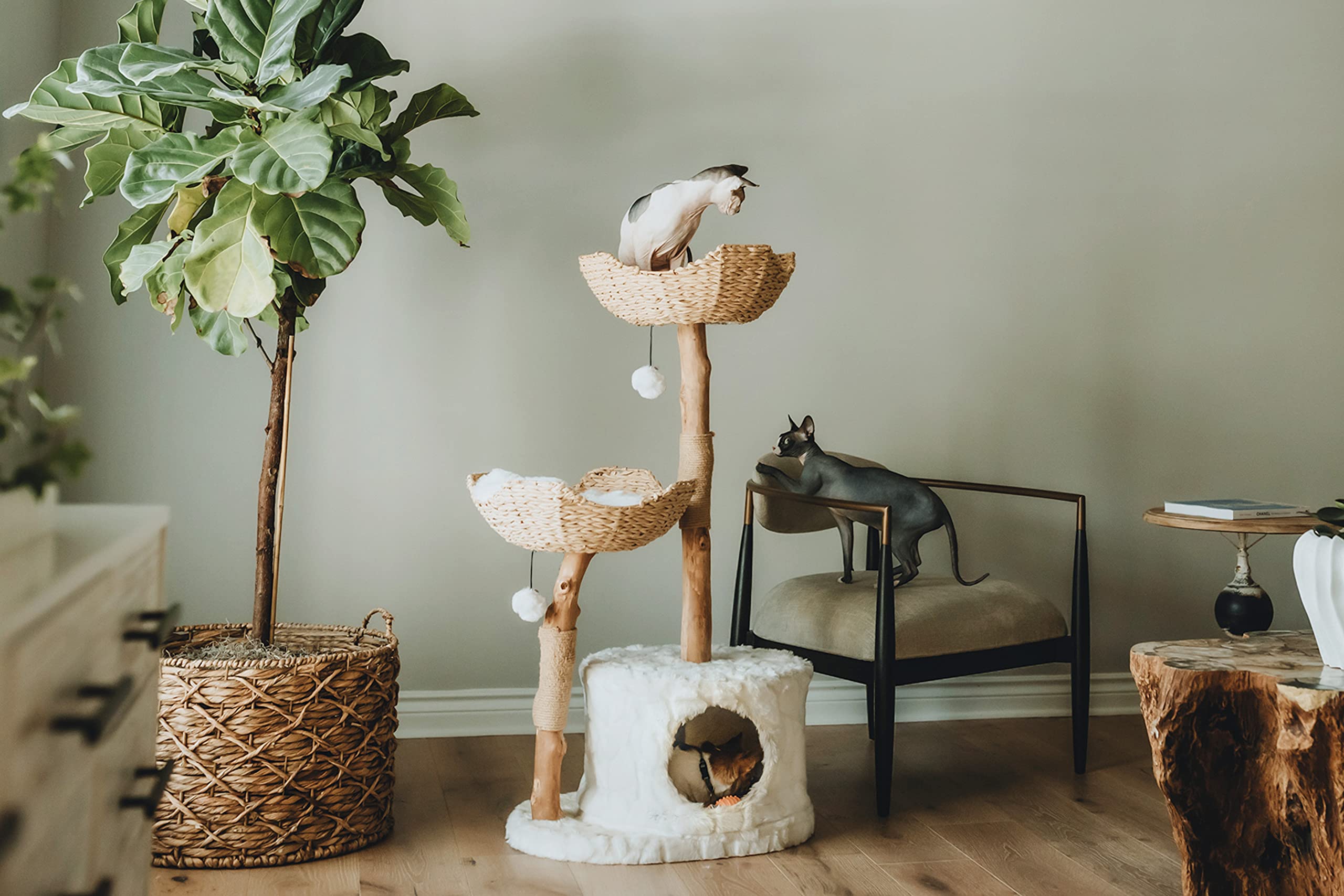 MAU Modern Cat Tree Tower for Large Cats - Real Wood Branch Luxury Cat Condo with Scratching Posts, Durable Cat Furniture for Indoor Cats | Perfect Cat Lover Gift & Playground for Kittens - Ideal for Home, Office, or Apartment Use