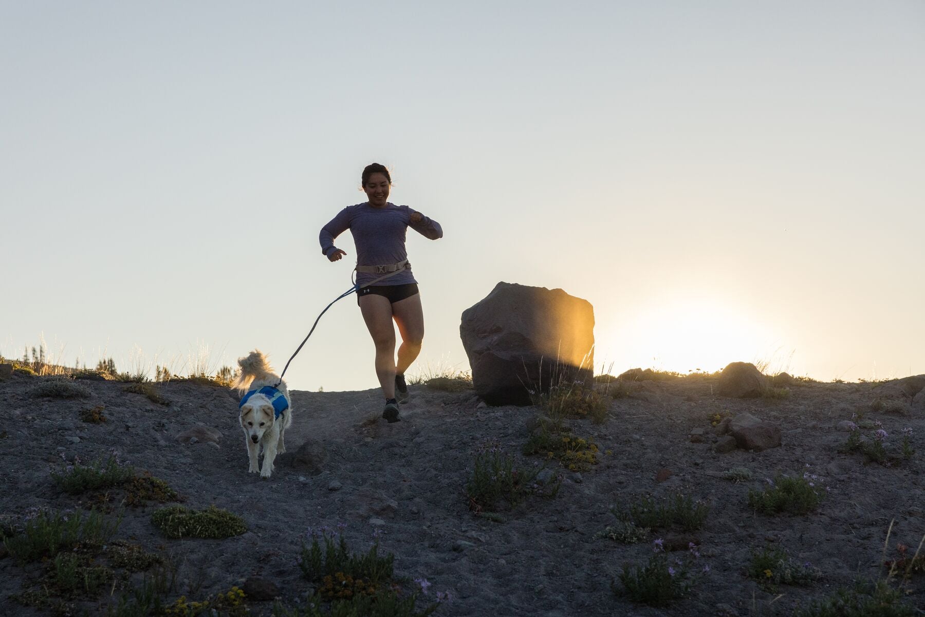 Ruffwear Dog Running Vest - Trail Runner Reflective Dog Vest for Hiking & Outdoor Adventures, Blue Pool - Perfect for Active Dogs & Pet Owners