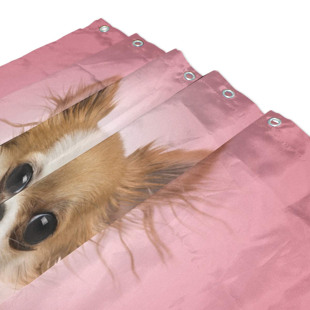 ALAZA 72x72 Inch Waterproof Chihuahua Dog Shower Curtain - Polyester Bathroom Decor with Hooks for Pet Lovers | Perfect for Bathroom, Dog Grooming Salon & Pet-Themed Home Decor