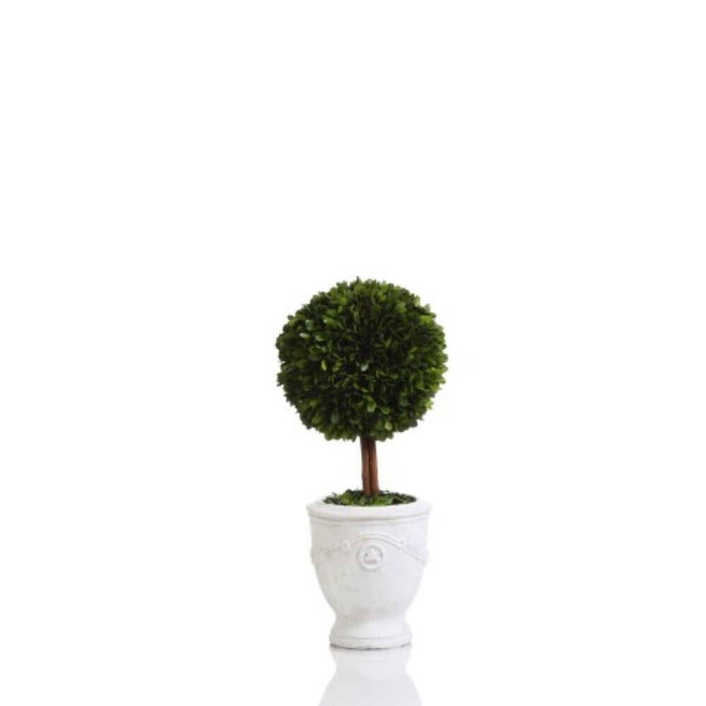 Amara 18 Inch Tall Preserved Boxwood Topiary - Fleur de Lys Design for Home & Garden Decor | Perfect for Entryway, Patio, and Wedding Centerpieces