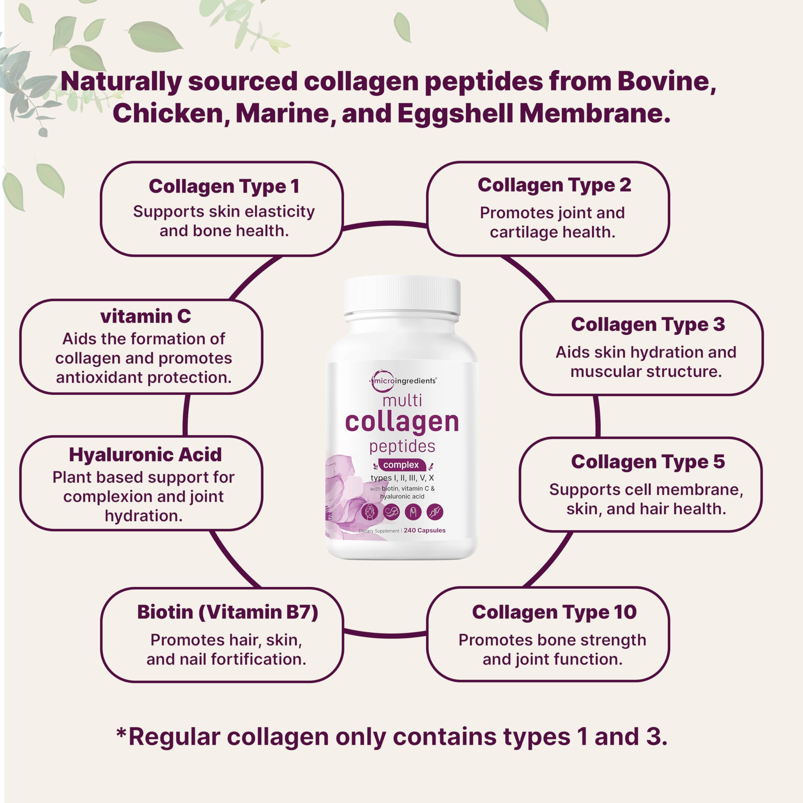 Micro Ingredients Multi Collagen Complex for Women & Hair Growth Vitamins - 2 Pack Bundle | Grass-Fed Collagen Peptides Supplement | 14-in-1 Advanced Hair, Skin & Nail Support | Perfect for Daily Beauty Routine & Post-Workout Recovery